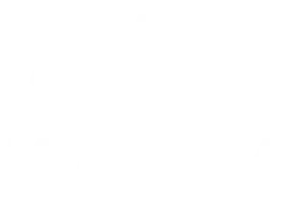 WEBSIM